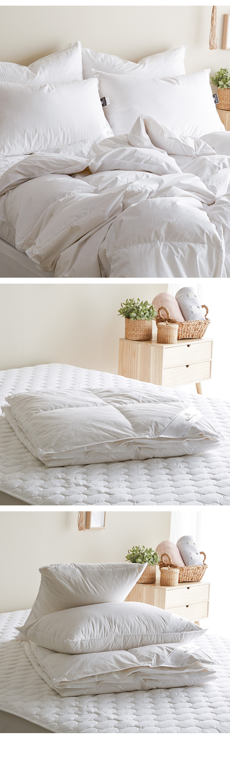 ��������뼼Ʈ ���� ������2