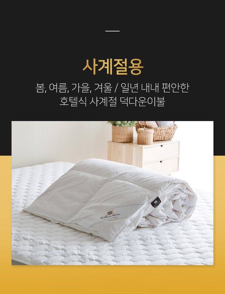 ��������뼼Ʈ ����