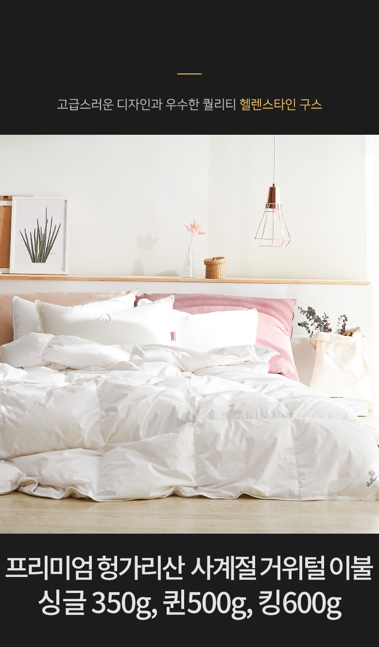 ��ǰ���Ρڼ���