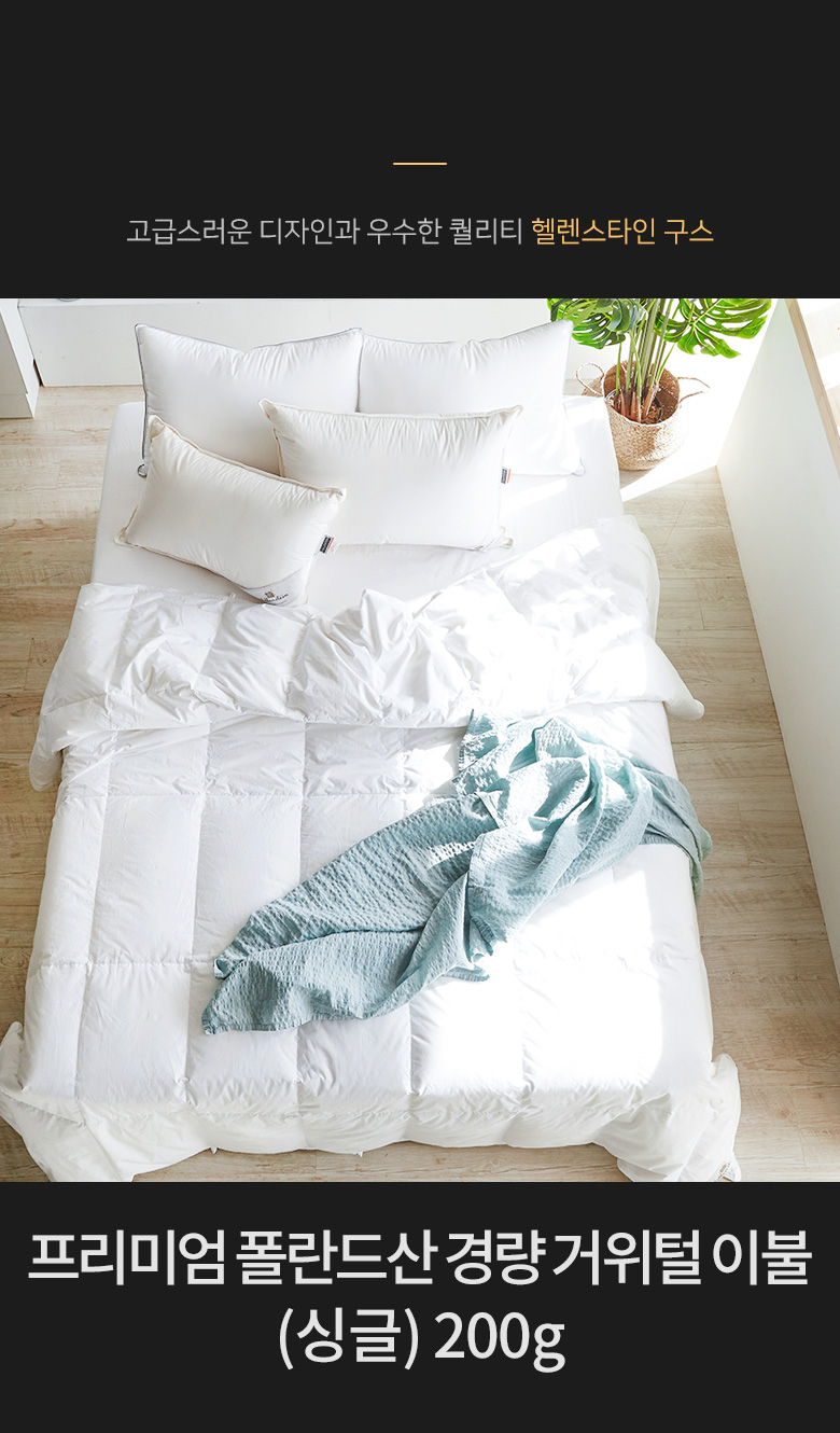 ��ǰ���Ρڼ���