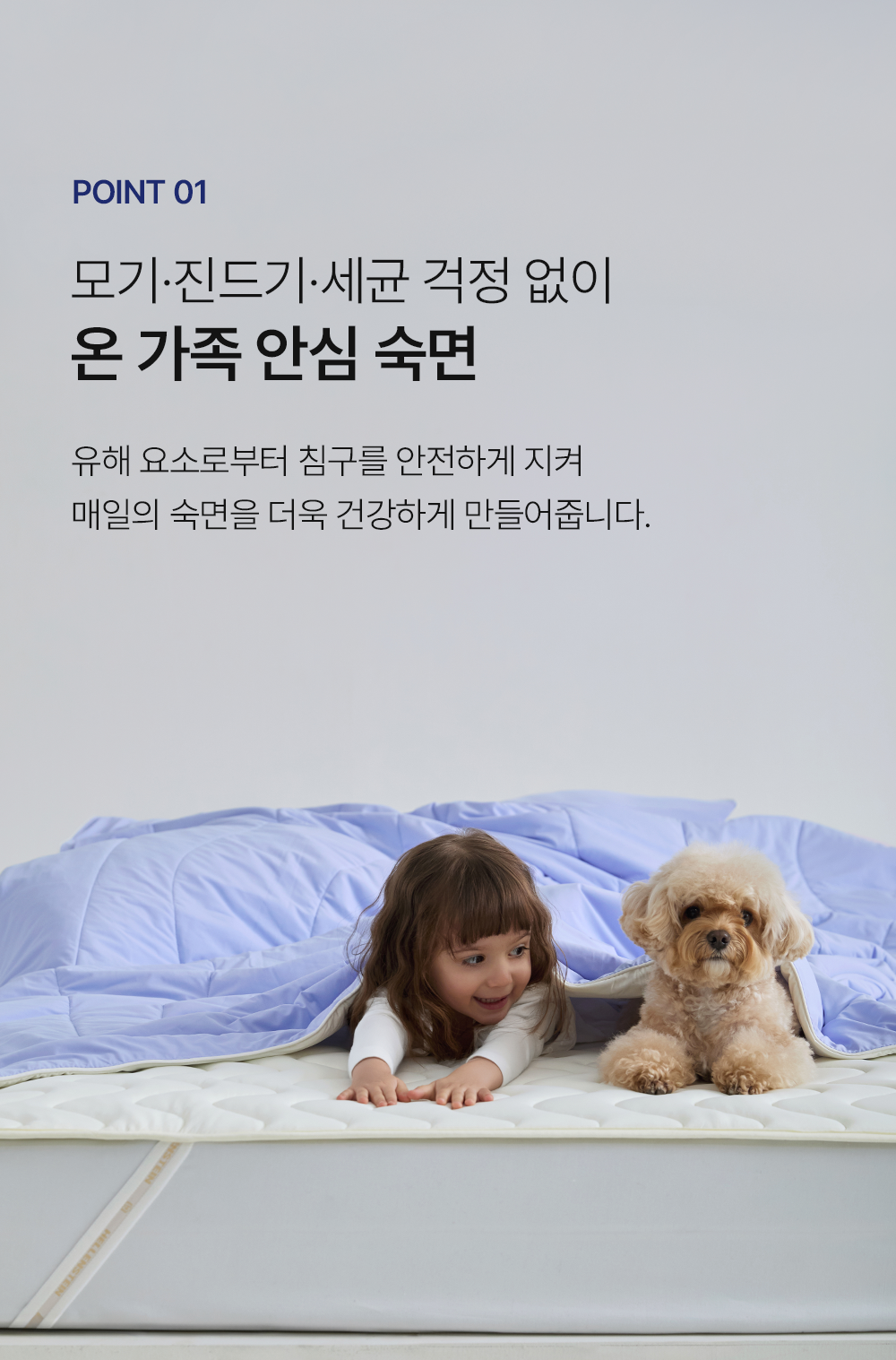 헬렌스타인 패드