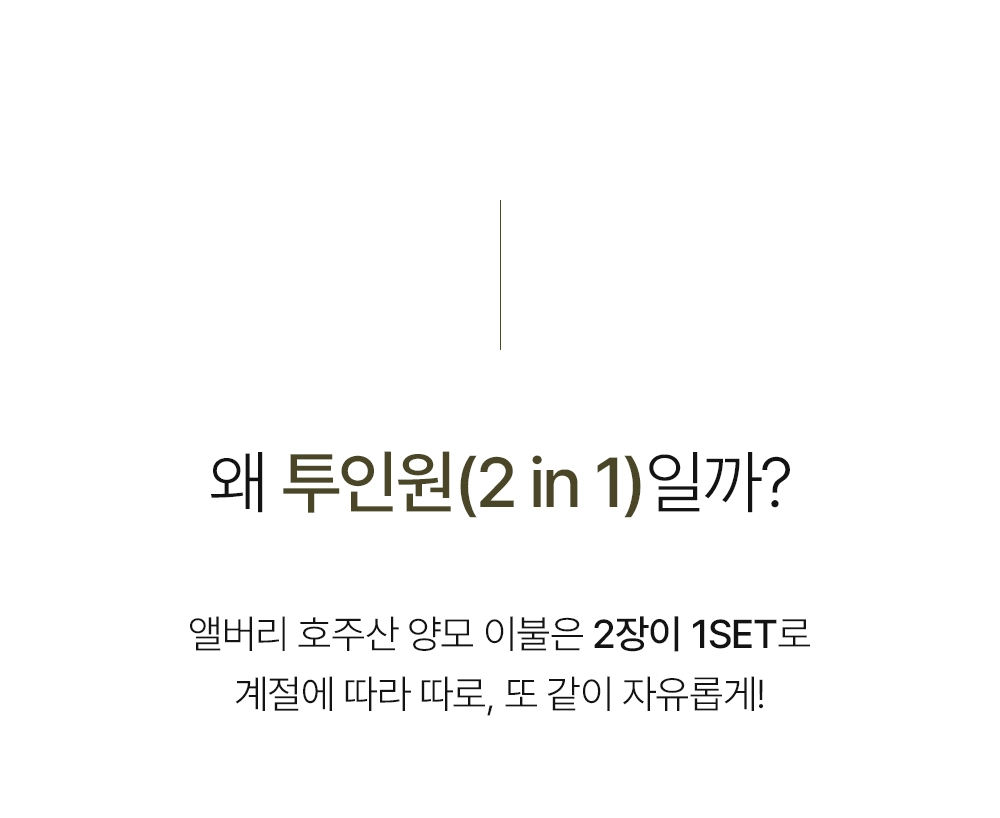 헬렌스타인 양모이불