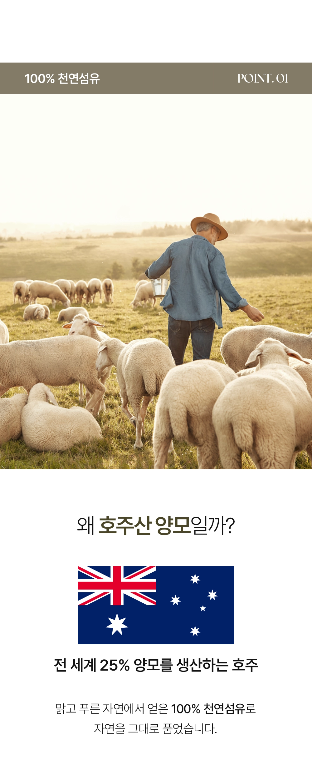 헬렌스타인 양모이불