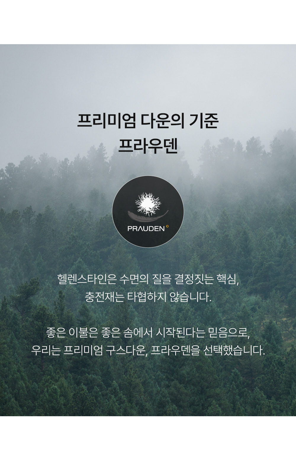 헬렌스타인 투인원 헝가리 구스 이불