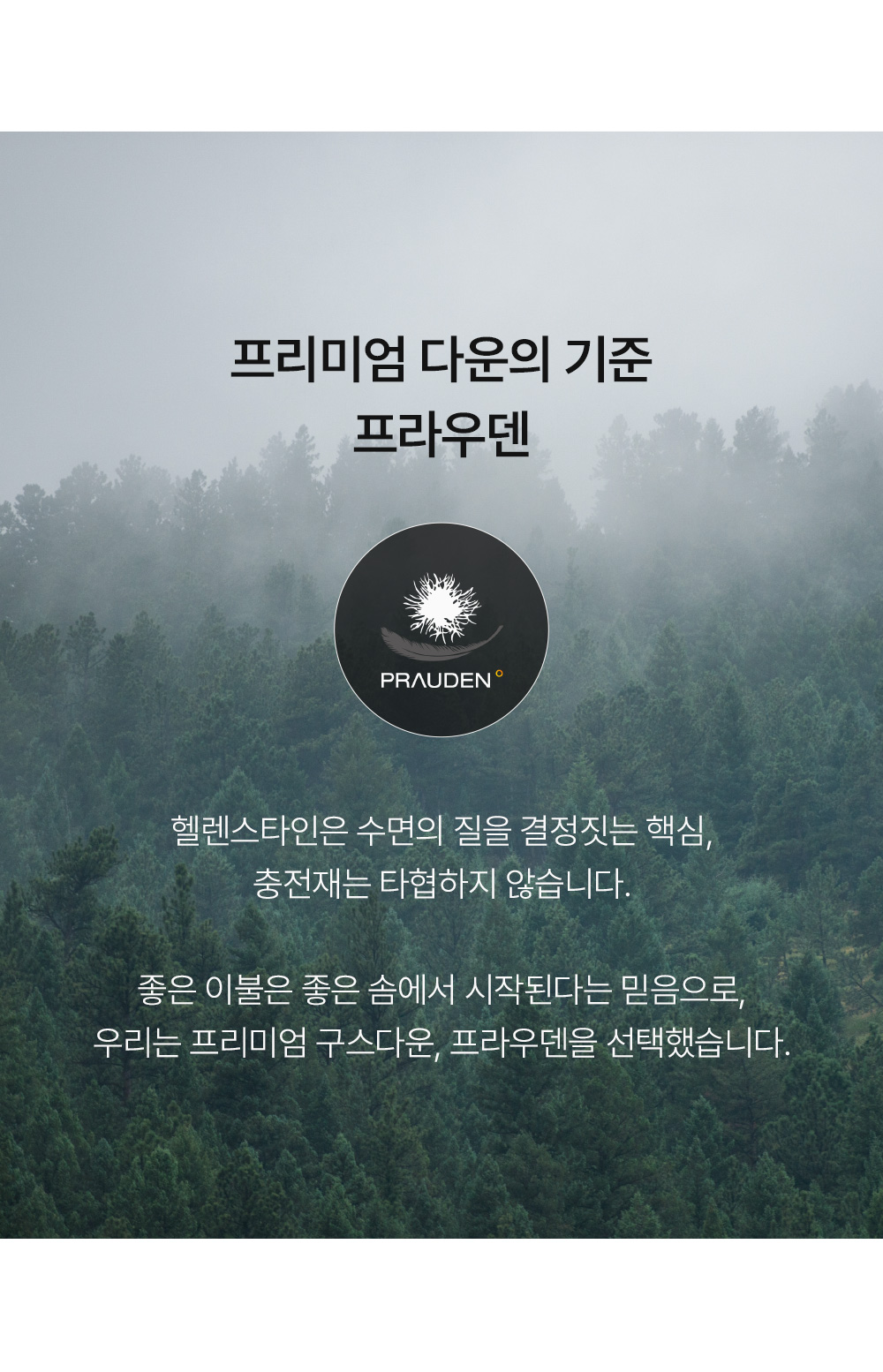 헬렌스타인 헝가리 구스 이불