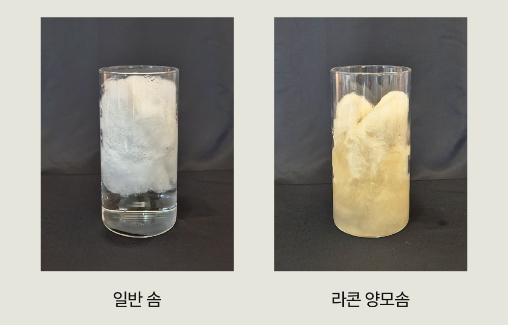 헬렌스타인 울 베개커버